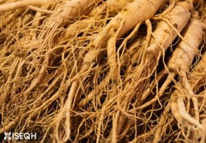 Ginseng: A Powerful Herb with Numerous Health Benefits