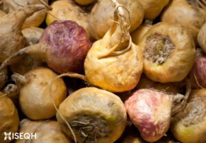 Maca: An Overview of its Health Benefits, Uses and Side Effects